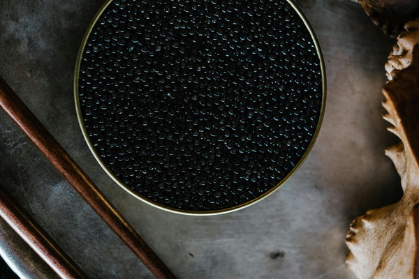 Baeri and Oscietra Caviar: The Ultimate Wine Pairings - APTENT. GOURMET