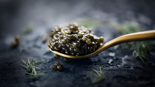 Decadence on Your Plate: Finding the Finest Caviar for Sale in Australia - APTENT. GOURMET