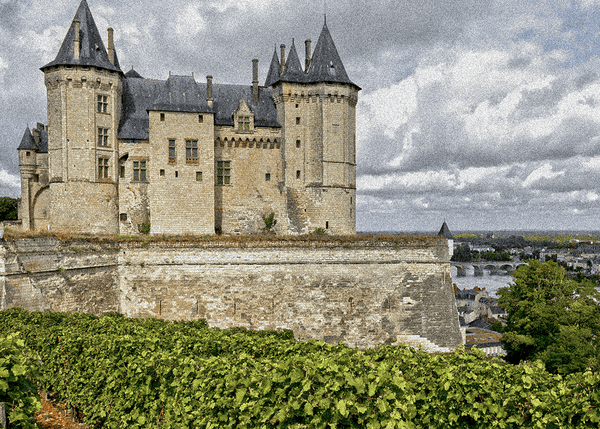 Exploring Loire Valley Wines: A Rising Star for Fine Dining - APTENT. GOURMET