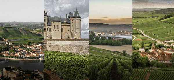 The French Wine Regions You Should Know (And Why They’re Making a Comeback in Australia) - APTENT. GOURMET