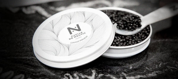 What Makes Caviar so Expensive? - APTENT. GOURMET